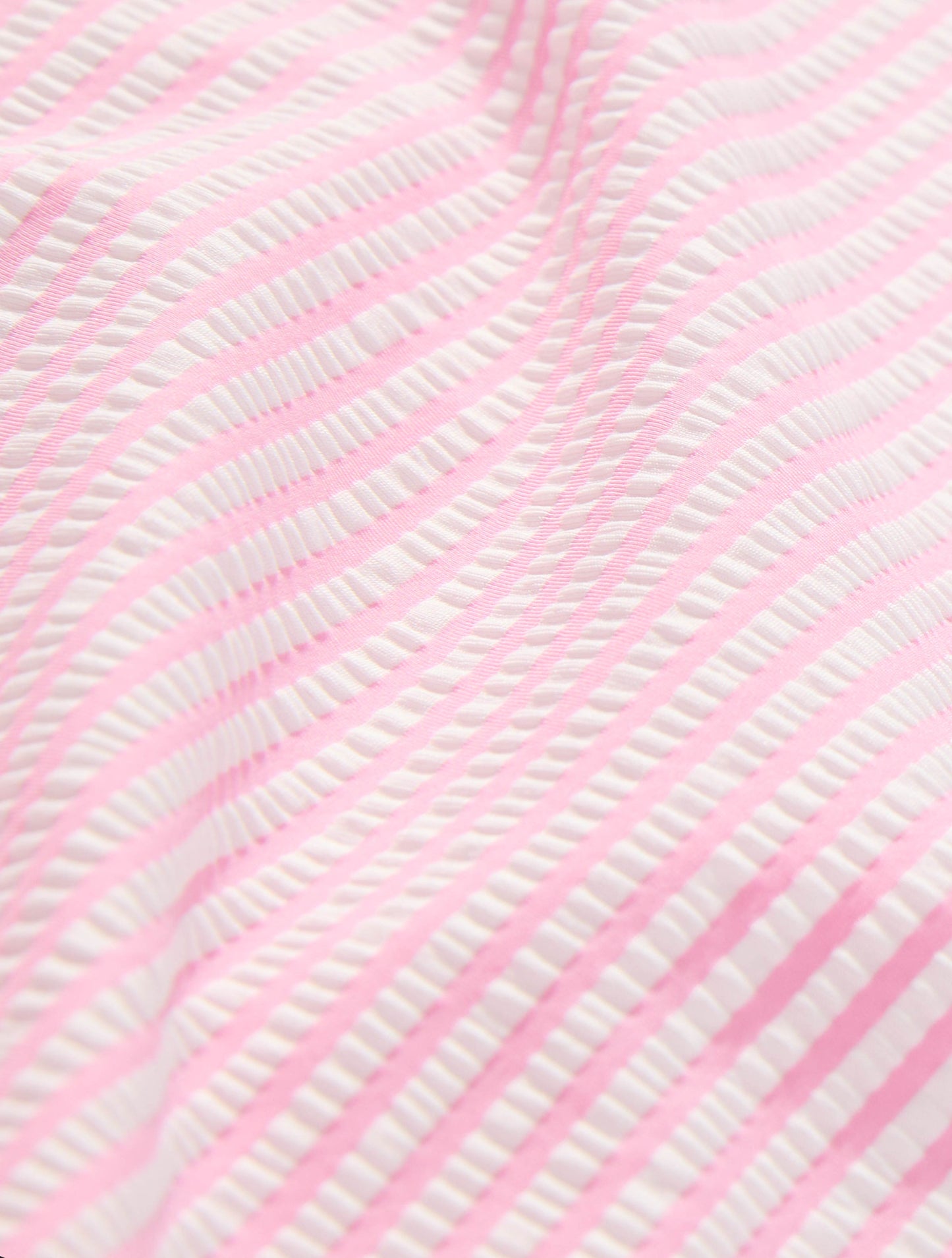 Product image for 640 BEGONIA BLOOM