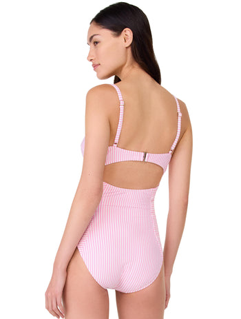 Product image for 640 BEGONIA BLOOM