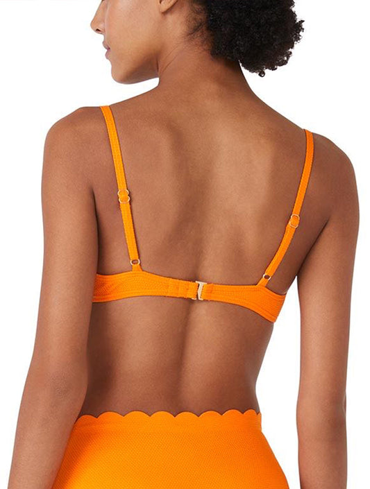 Product image for 812 SATSUMA