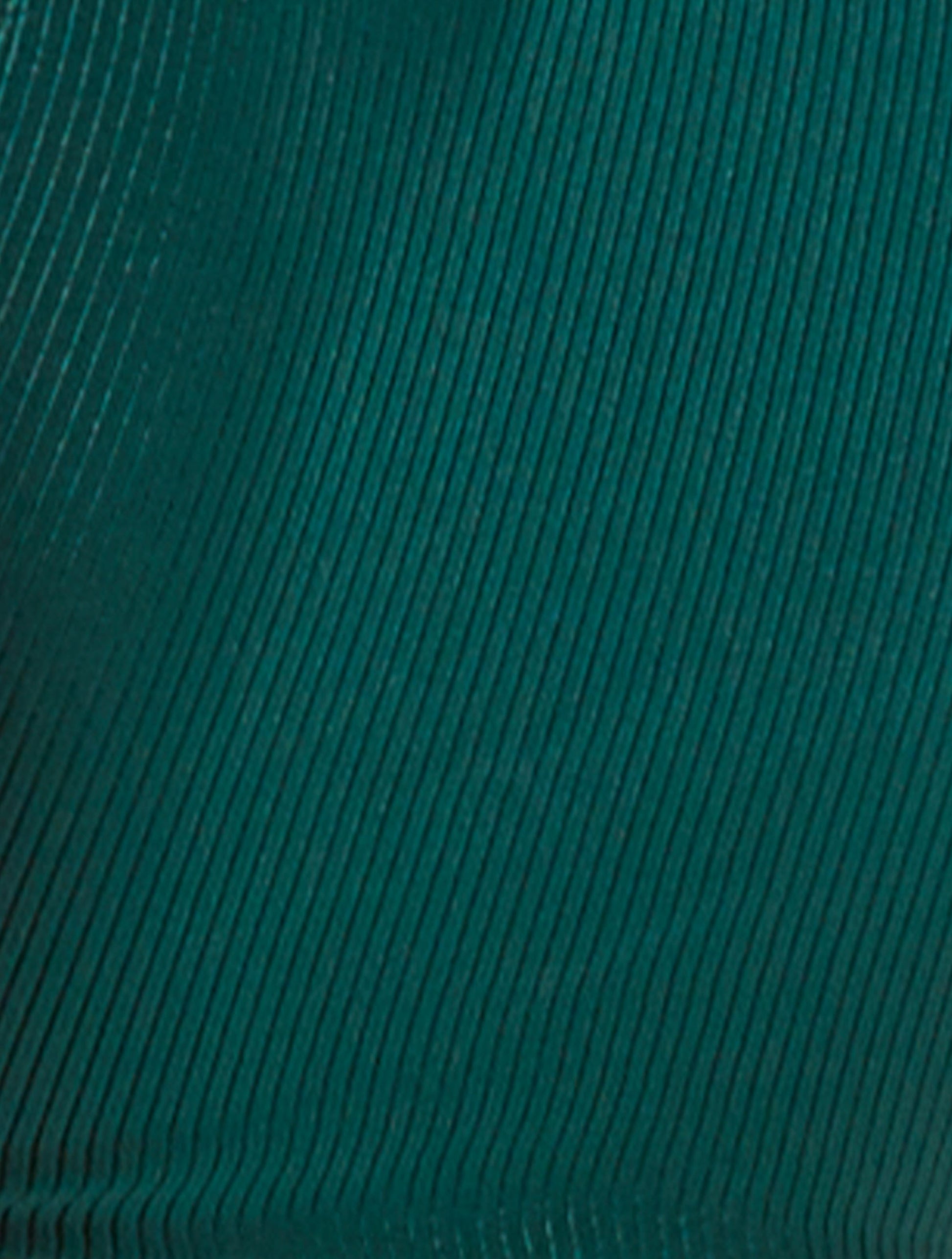 Product image for 322 CONIFER