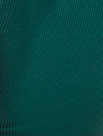 Product image for 322 CONIFER