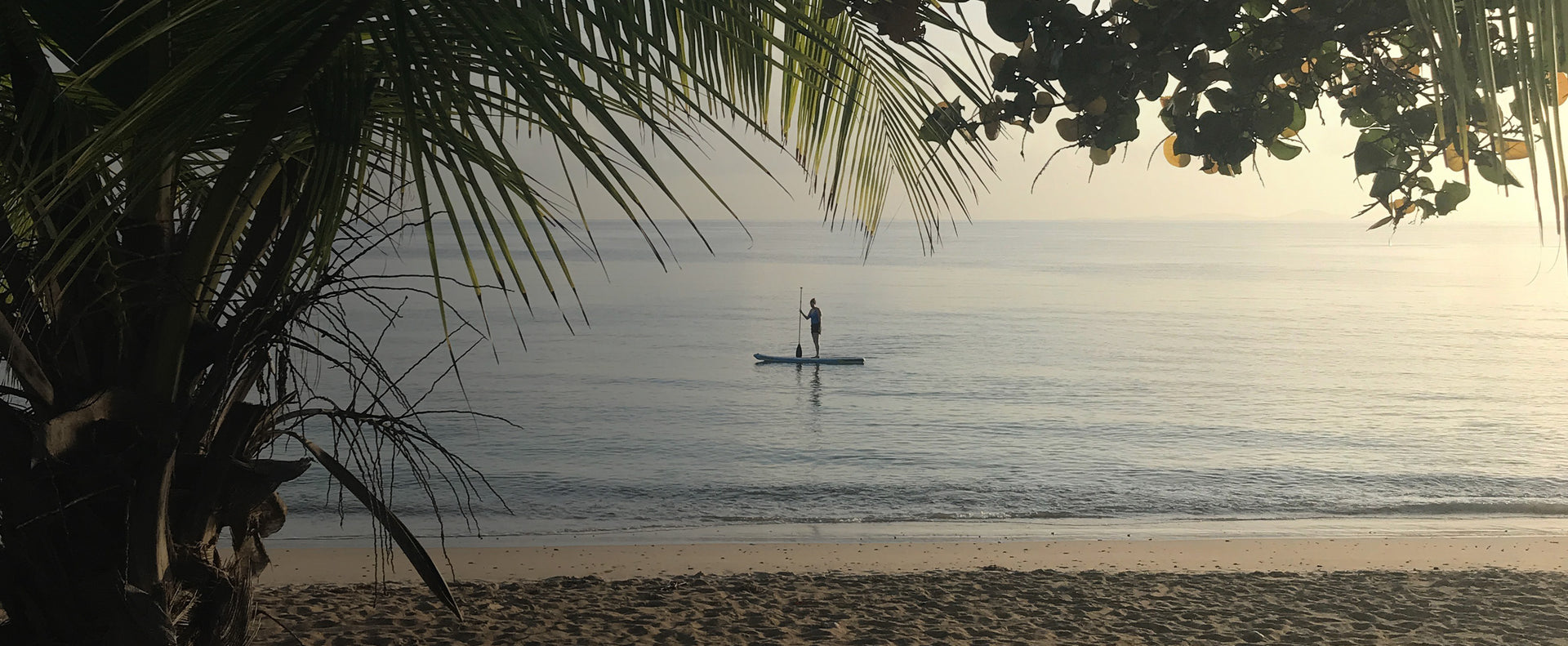 woman standing on a paddle board at a distance in the ocean with tropical trees in the foreground