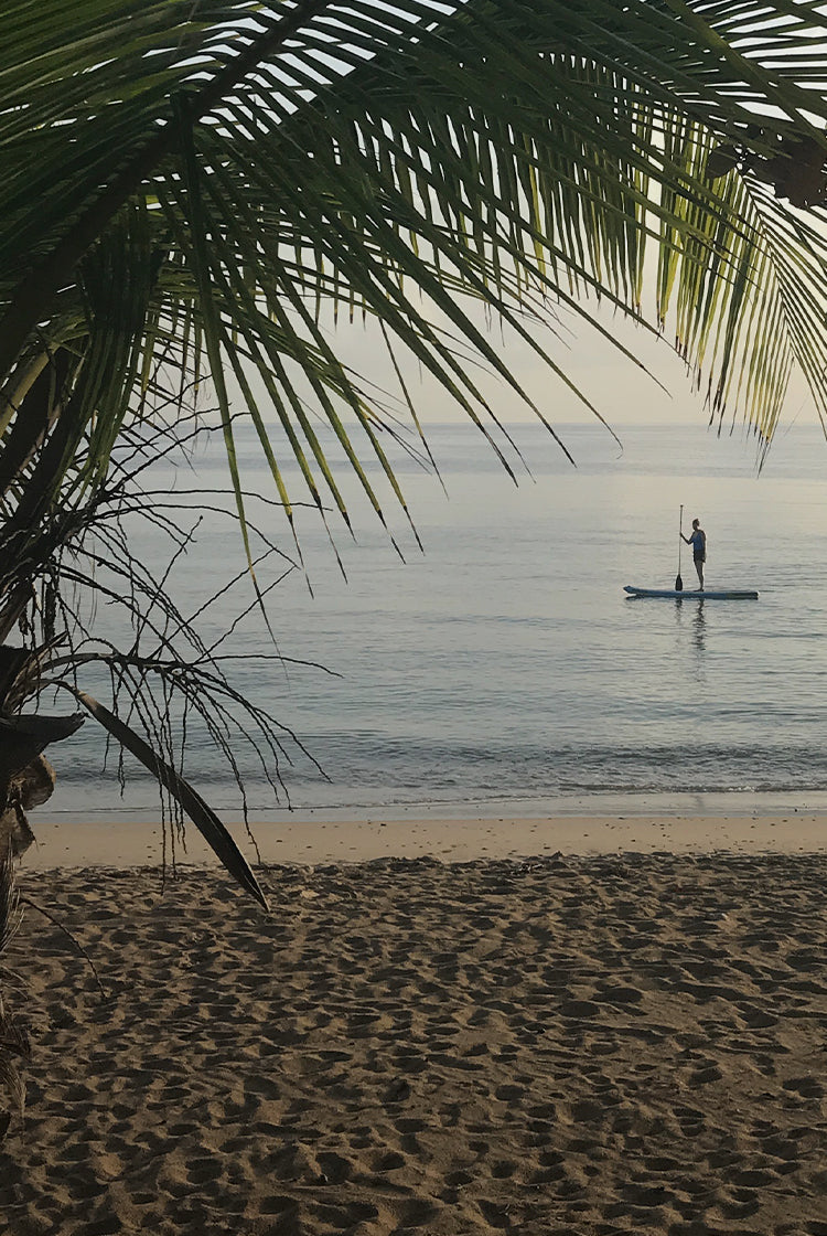 woman standing on a paddle board at a distance in the ocean with tropical trees in the foreground