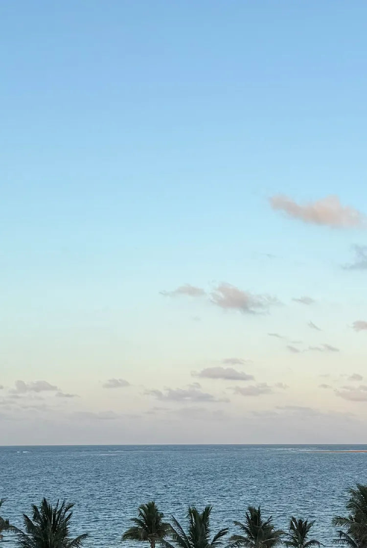 ocean and palm trees with sunset in background