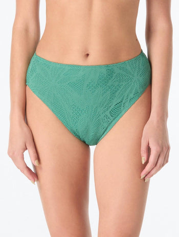 Product image for 345 Fern