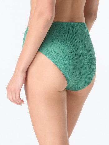 Product image for 345 Fern